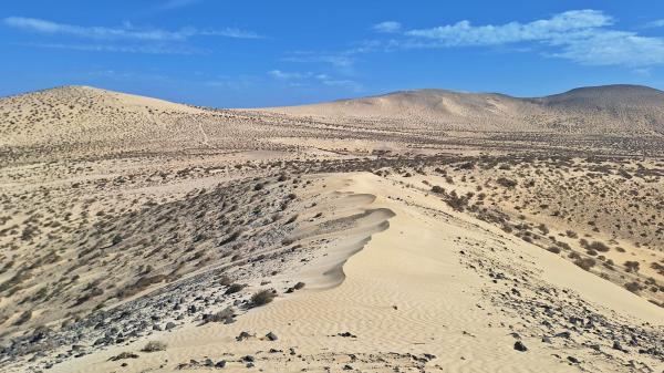 Barranco de Pecenescal