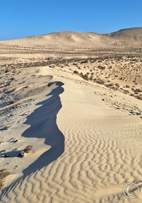 Barranco de Pecenescal