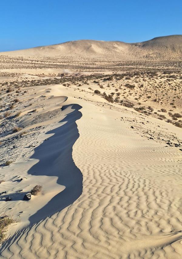 Barranco de Pecenescal