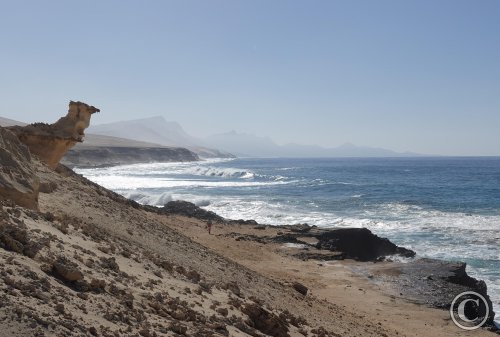 Playa de Barlovento, das Kamel