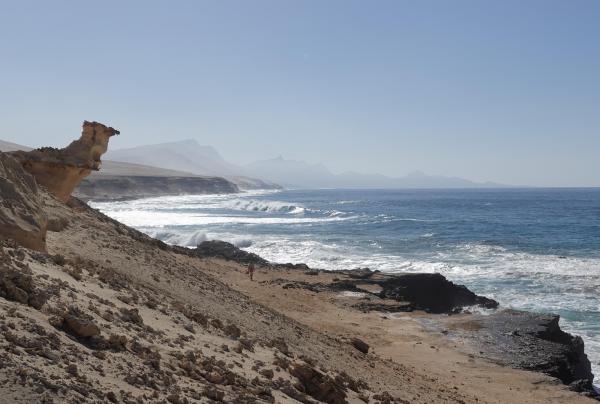 Playa de Barlovento, das Kamel