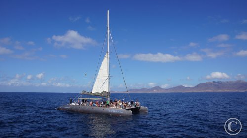 Südspitze Morro Jable