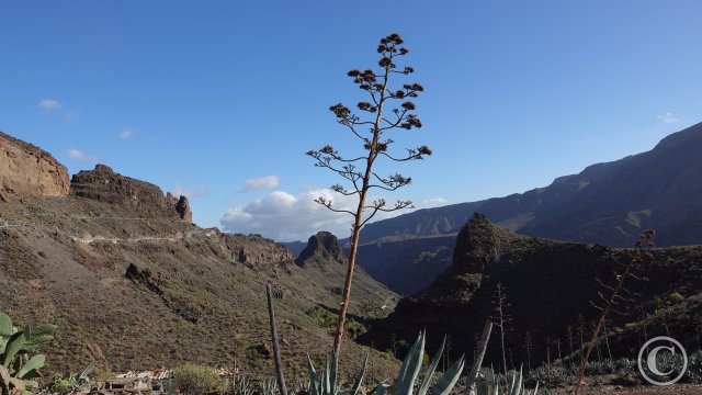 Gran Canaria